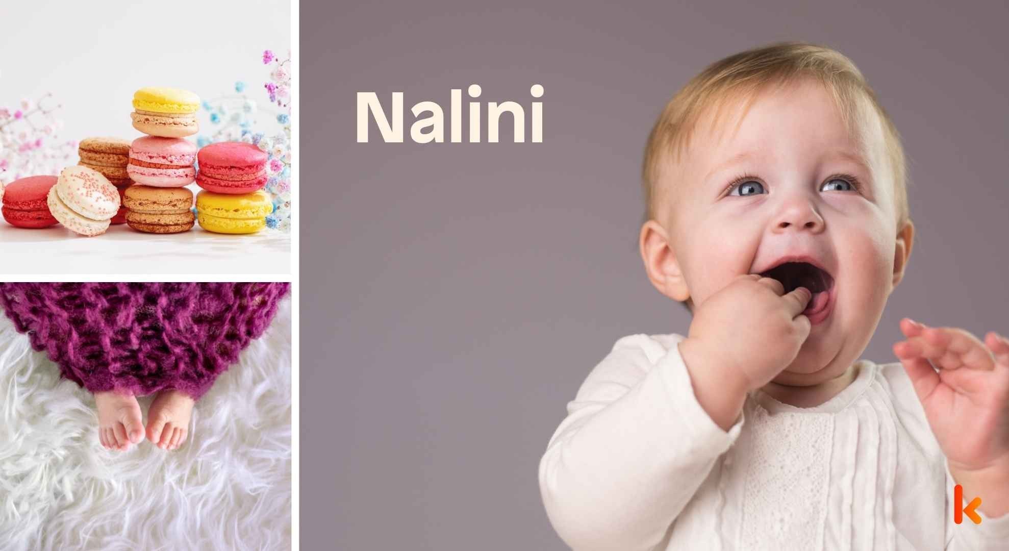 Meaning of the name Nalini