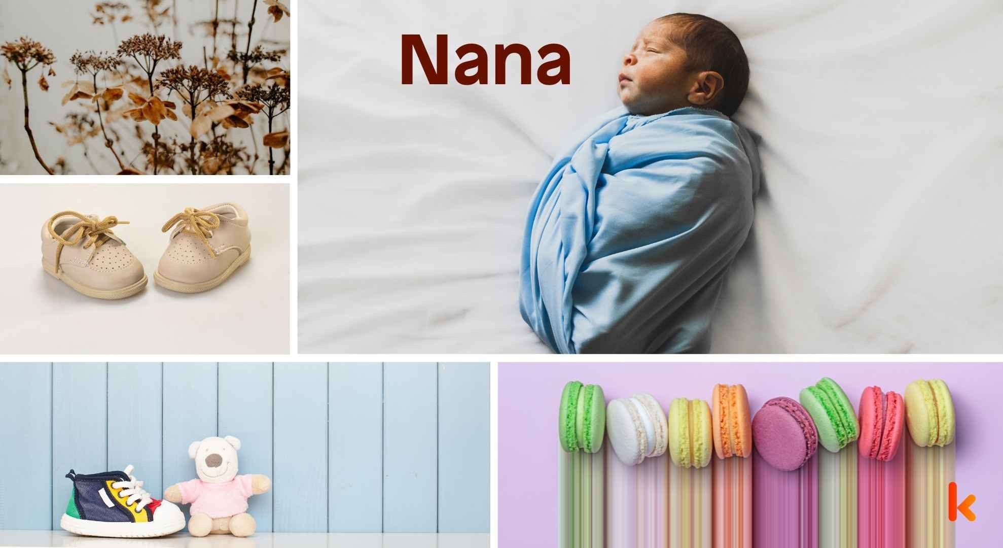 Meaning of the name Nana