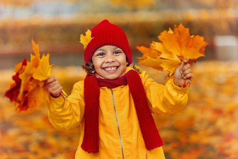 Little girl wearing yellow jacket holding autumn maple leaves