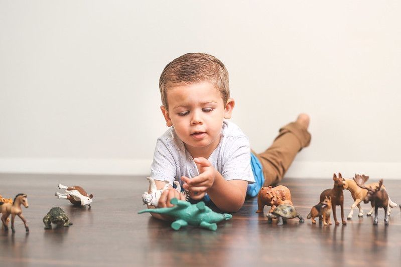 Little boy playing with toy animal figures