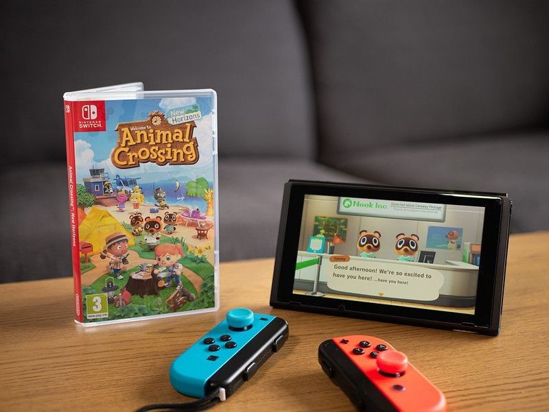 Joy con controllers and new animal crossing new horizons.