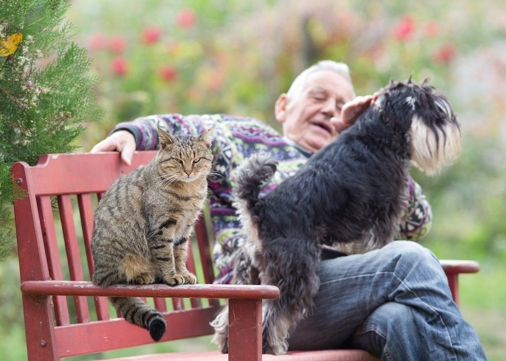 Senior man with his pets