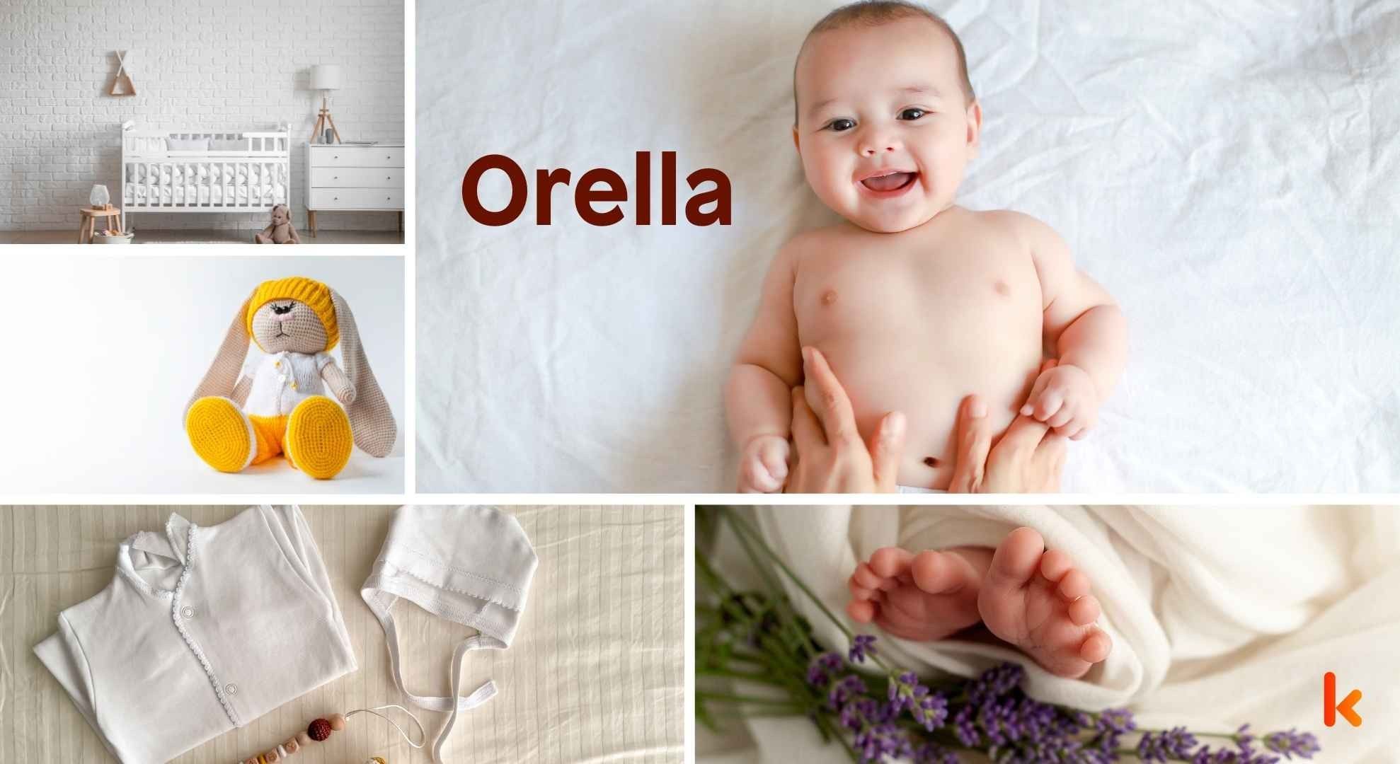 Meaning of the name Orella