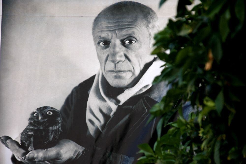 Black and white poster with Pablo Picasso portrait and green tree at Picasso exhibition hall, Dubrovnik, Croatia.
