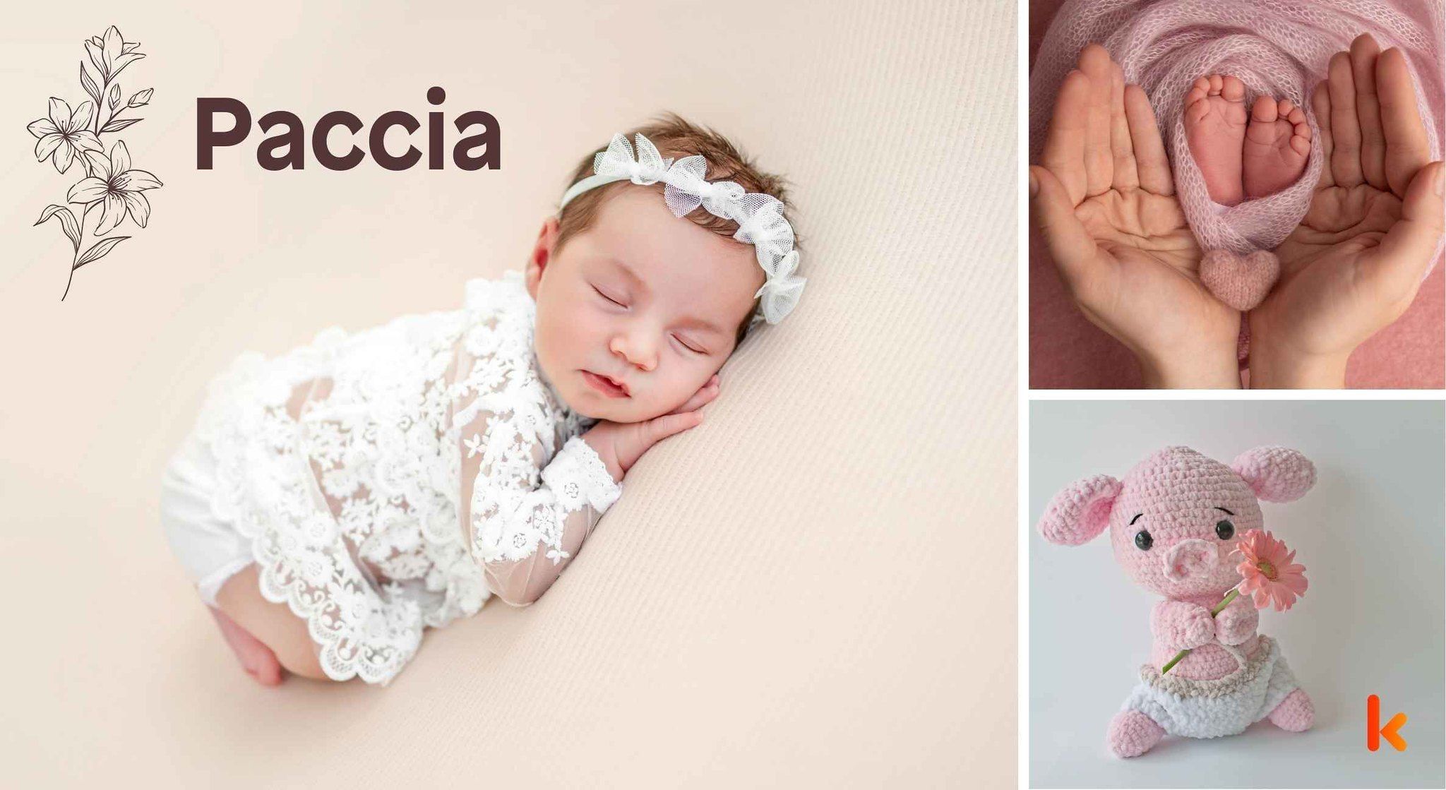 Meaning of the name Paccia