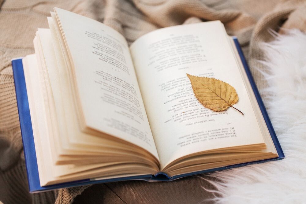 A book with autumn leaf on blanket at home