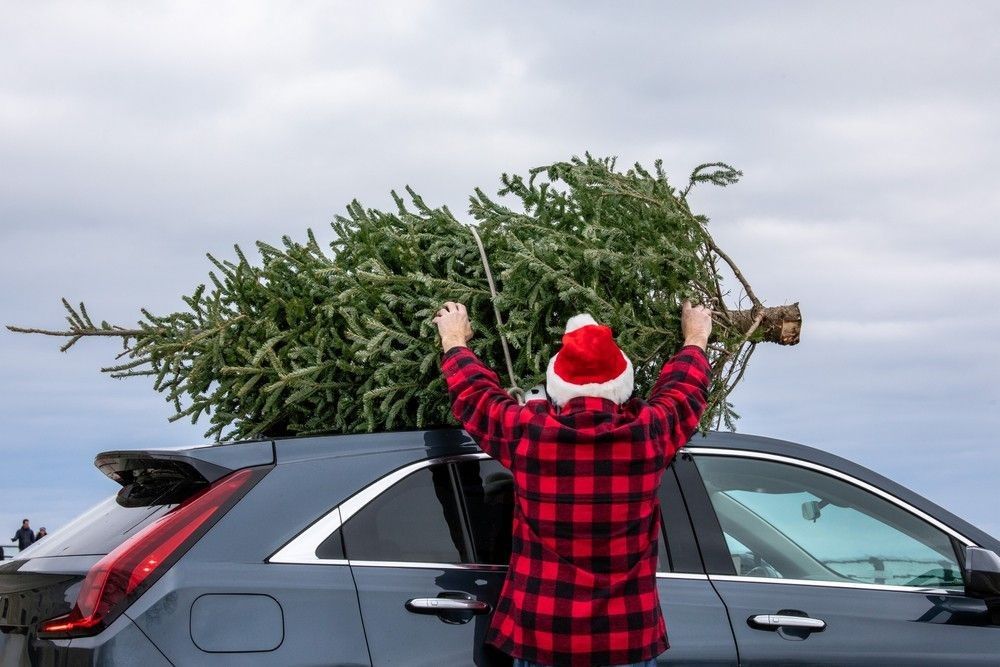 Christmas tree to the roof of the car
