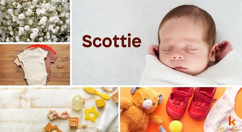 Meaning of the name Scottie