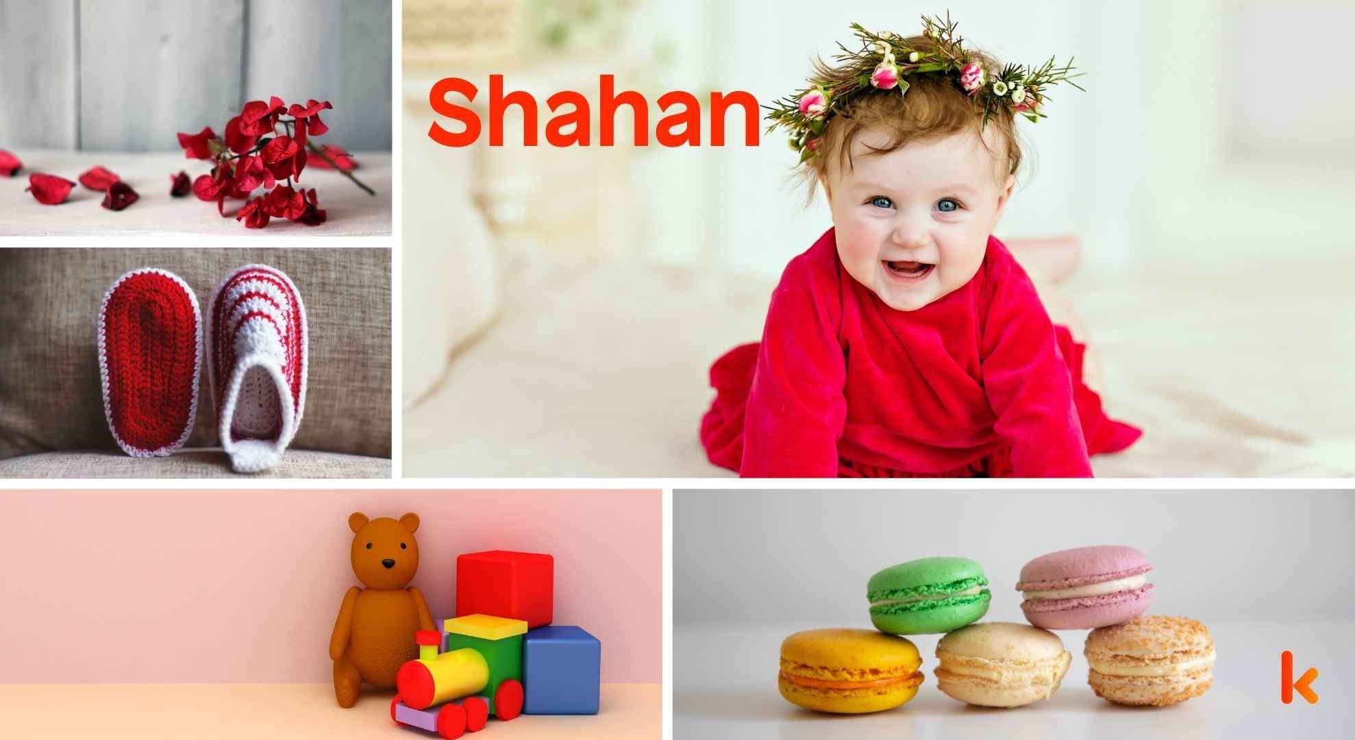 Meaning of the name Shahan