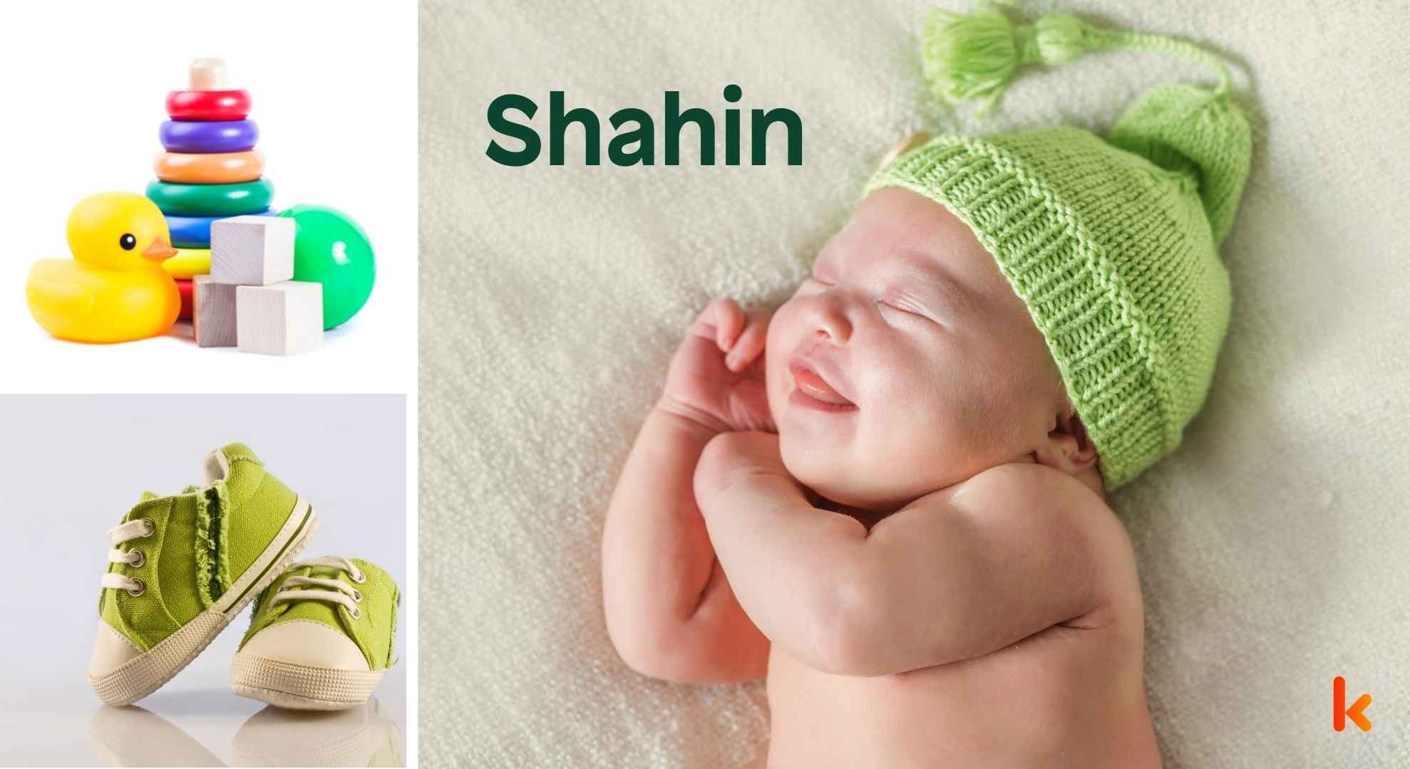 Meaning of the name Shahin