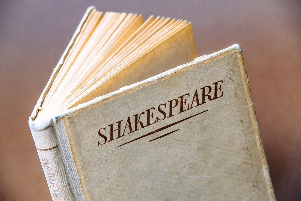 A novel with the title 'Shakespeare'