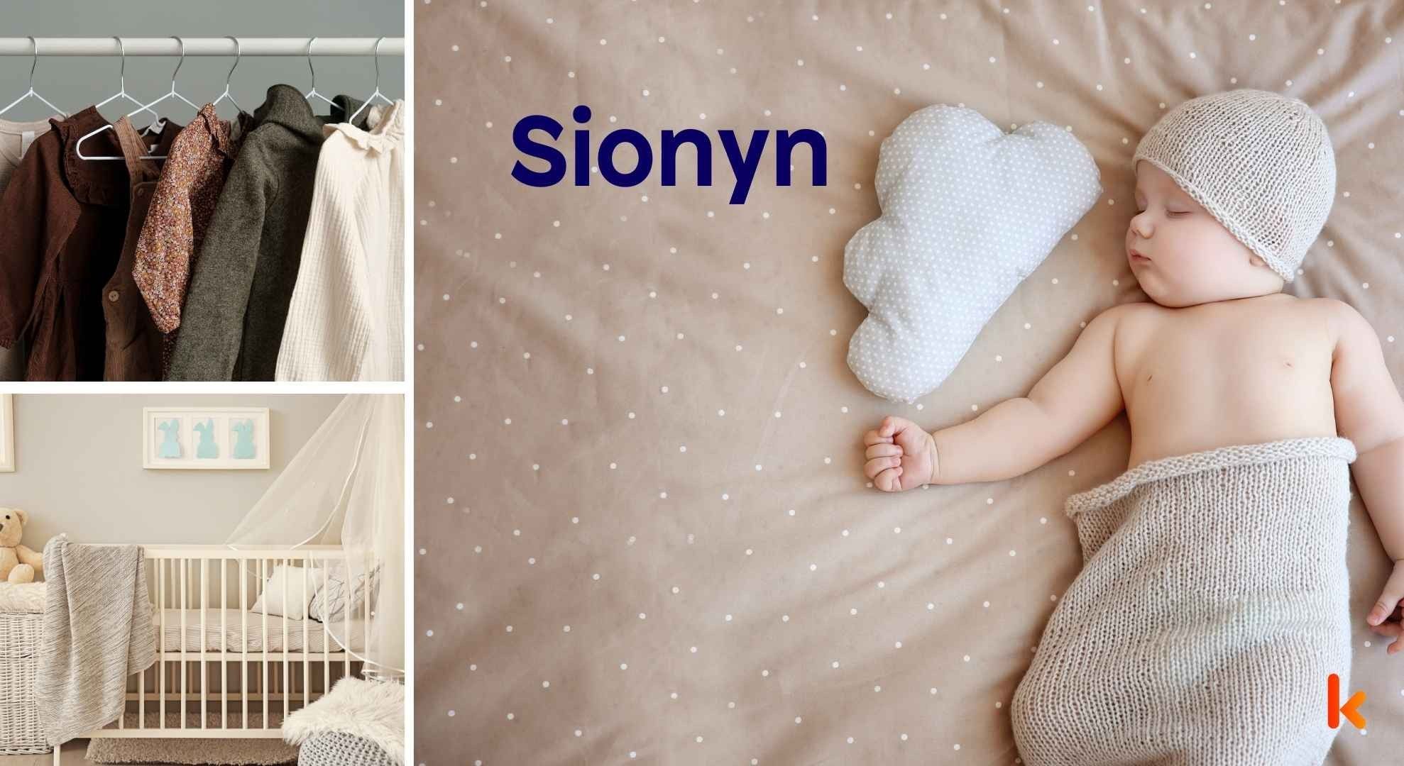 Meaning of the name Sionyn