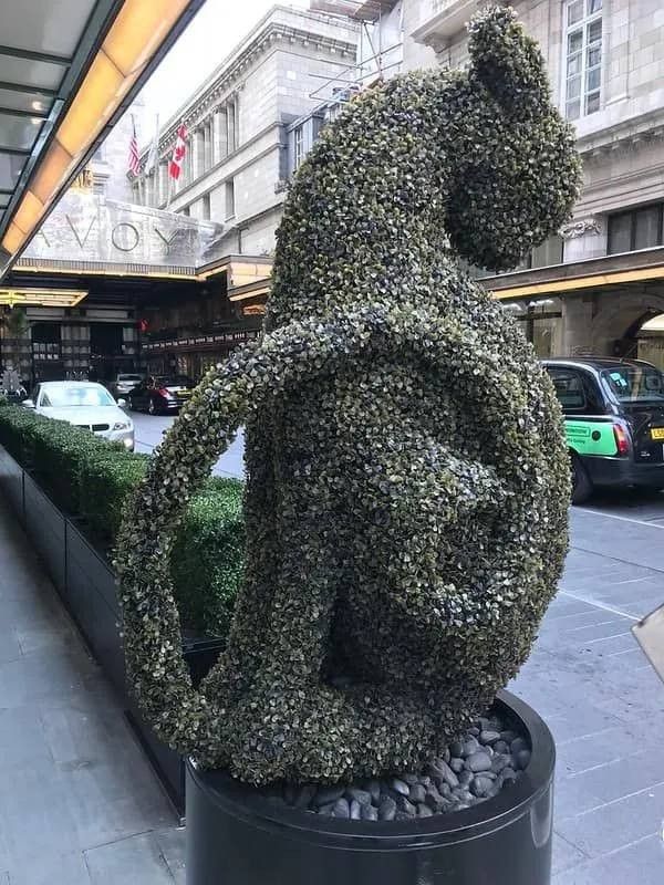 There is a hedge sculpture of Kaspar the Lucky Cat outside the Savoy hotel.