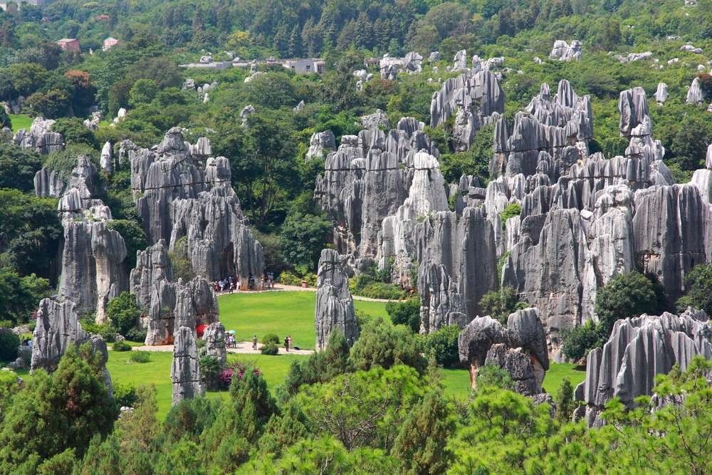 Limestone Stone forest a heritage site