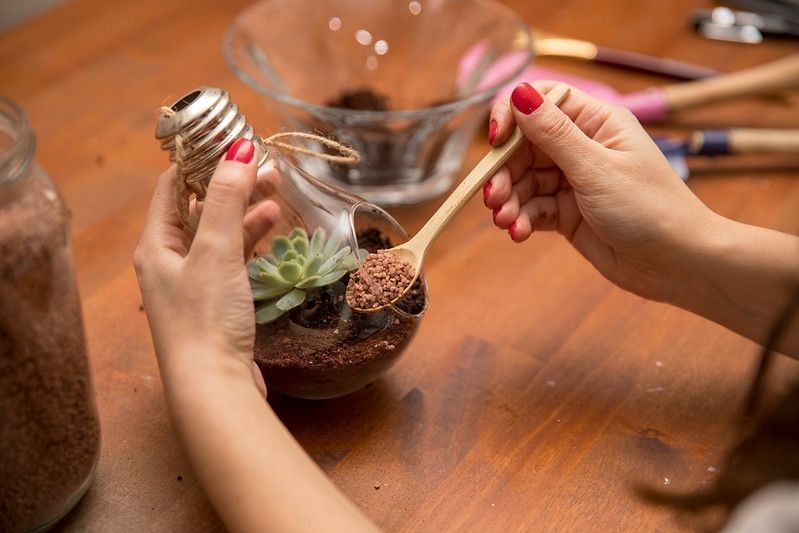 A person making their own terranium in a glass container.