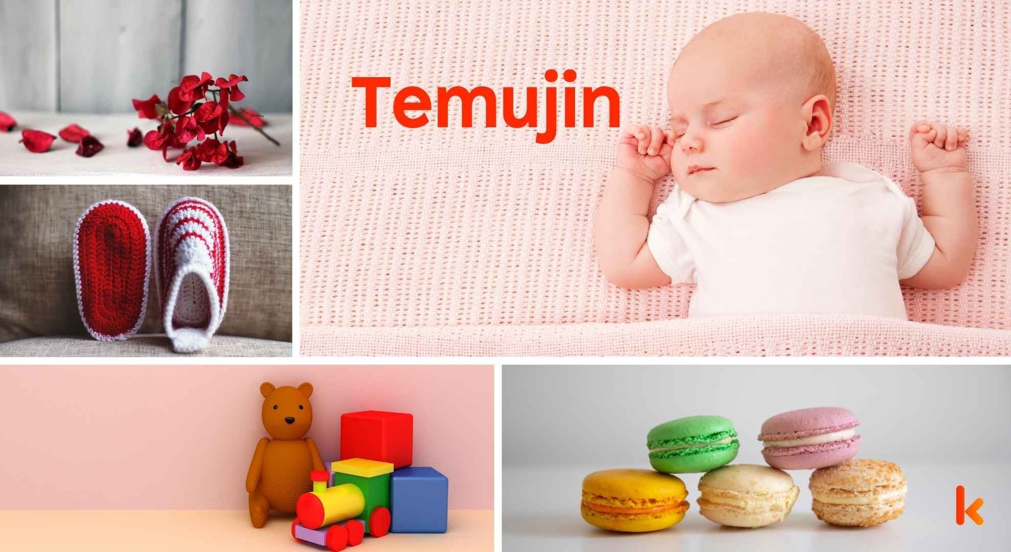 Meaning of the name Temujin