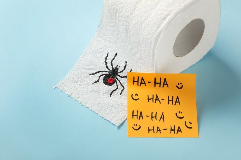 Toilet paper roll with drawn spider and words Ha-Ha on light blue background.
