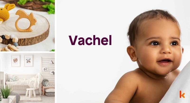 Meaning of the name Vachel