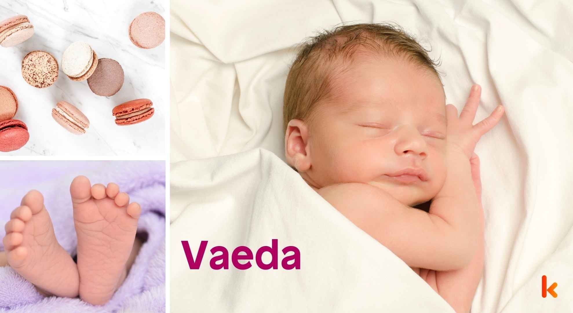 Meaning of the name Vaeda
