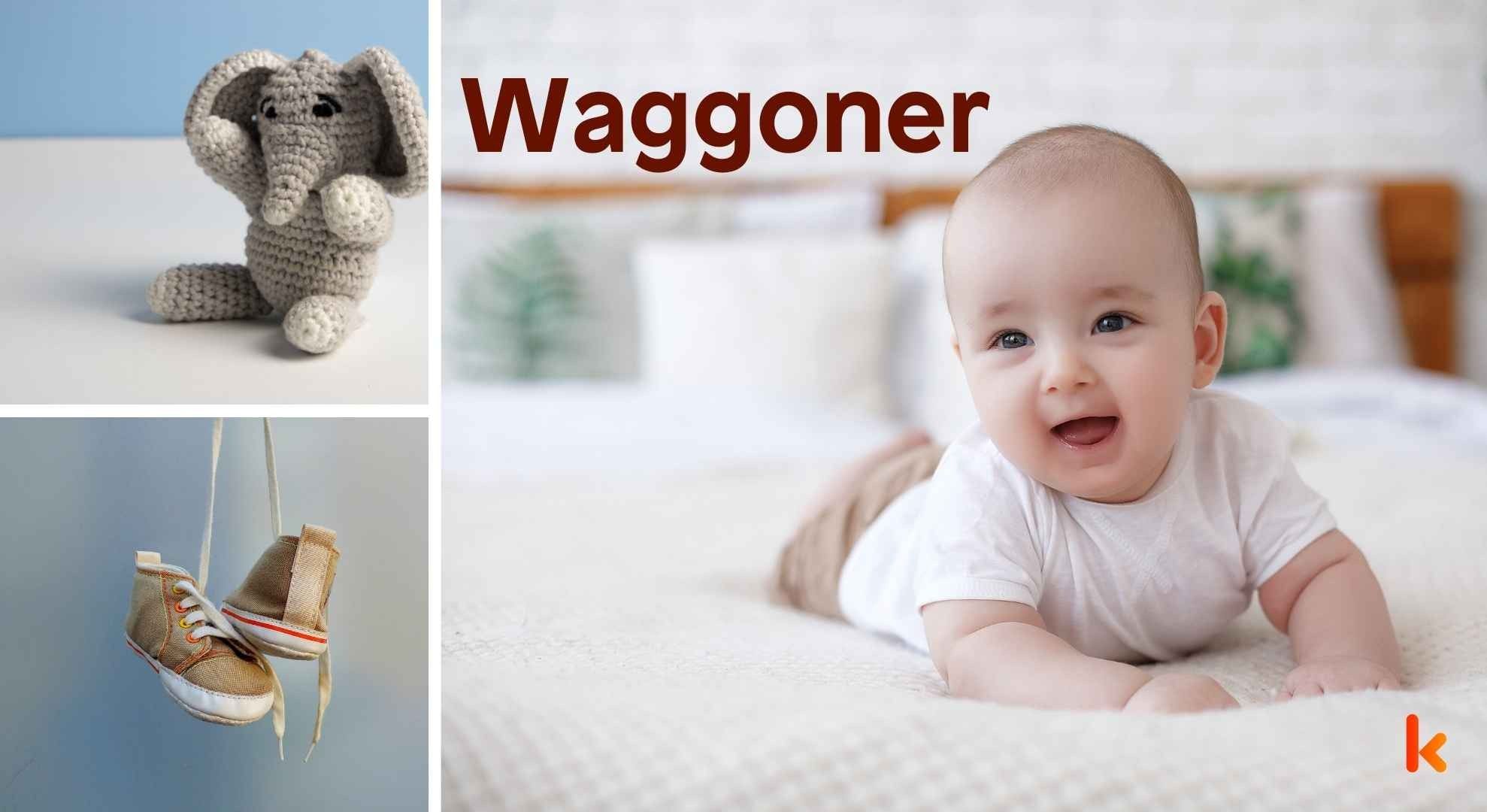 Meaning of the name Waggoner