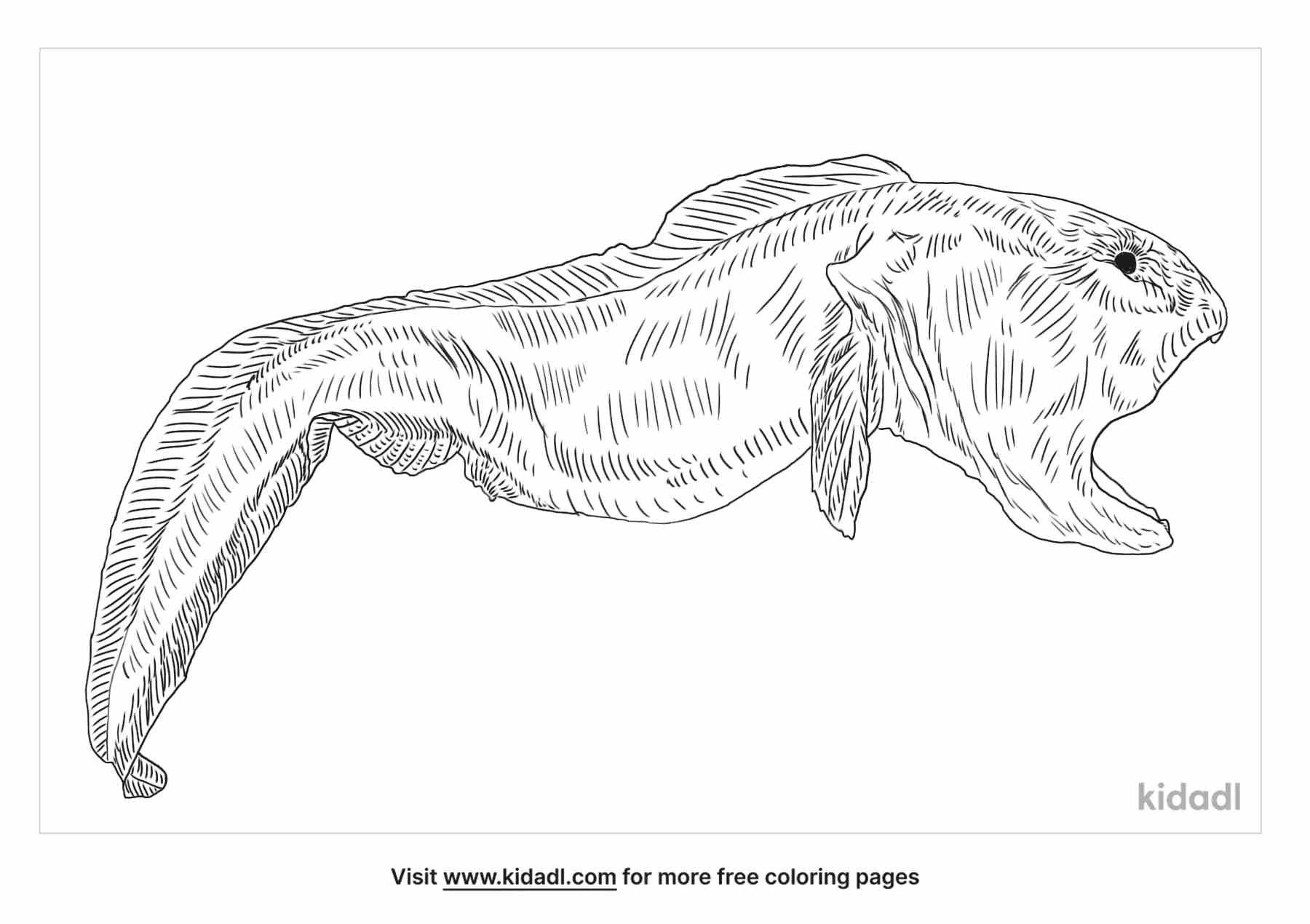 coloring page that have wolf eel
