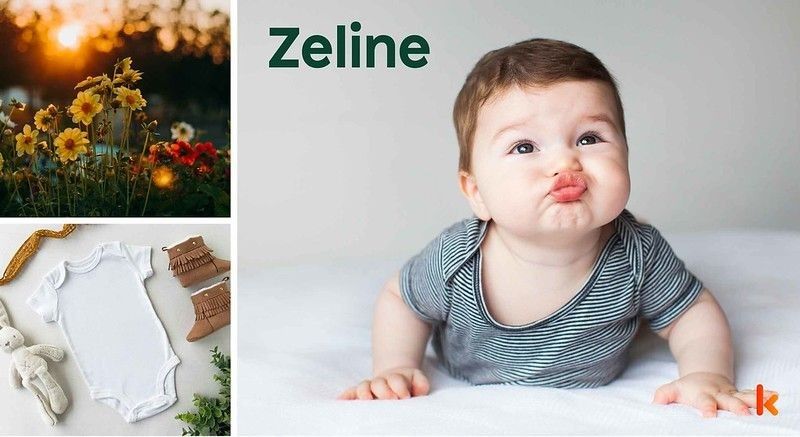 Meaning of the name Zéline